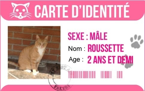 Carte d'identité de votre animal