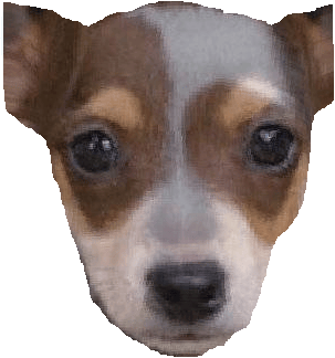 un nouveau concept de jeu 