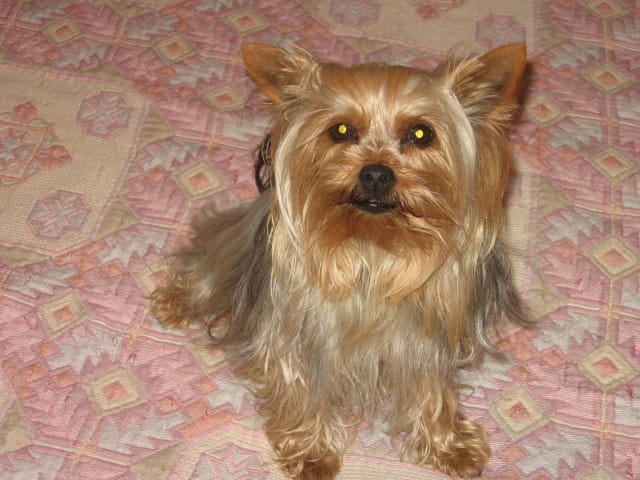 comment participer au concours