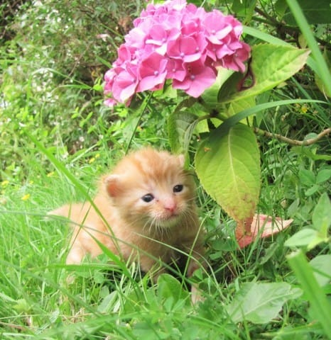 Concours photos !