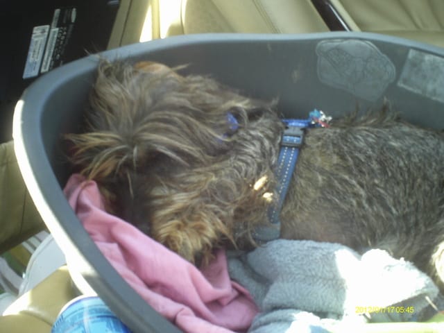 Ma nouvelle meilleure amie aide svp