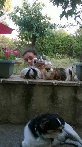 Vos animaux ensemble