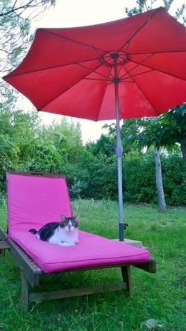 Concours photo de vos animaux dans votre thallasso !