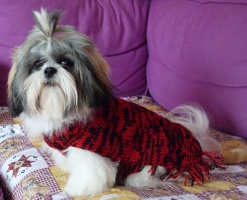 Photo de lola et de son doudou