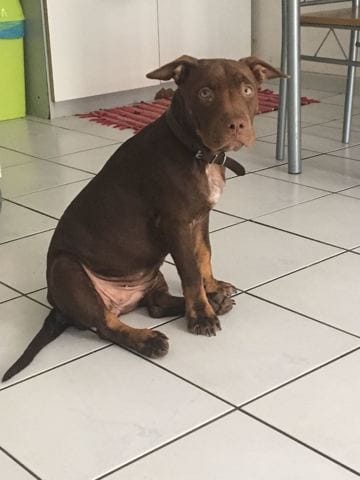 Inquiétude face à la croissance