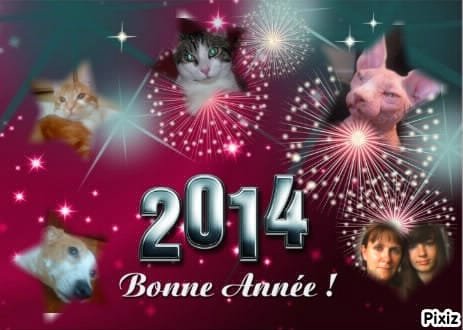 Bonne Année :)