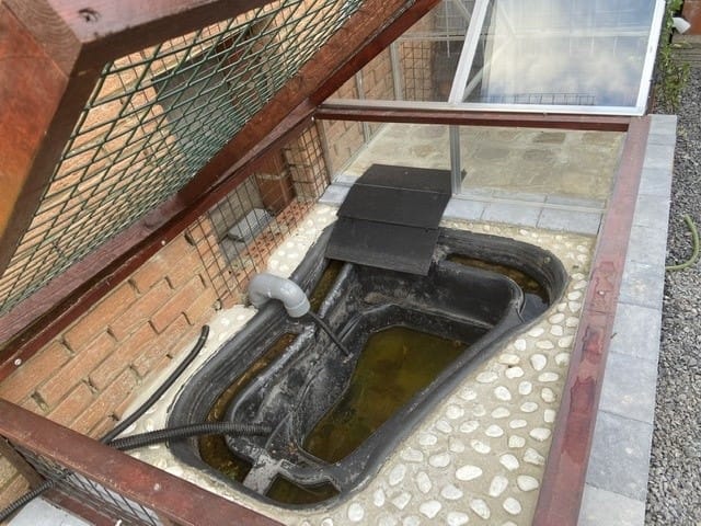 Tortue aquatique en extérieur