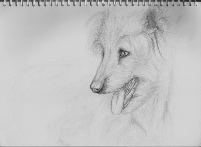 Ooohh un dessins O.O