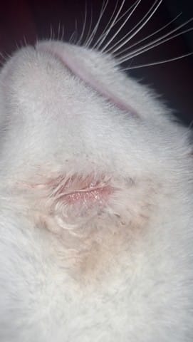 Blessure étrange