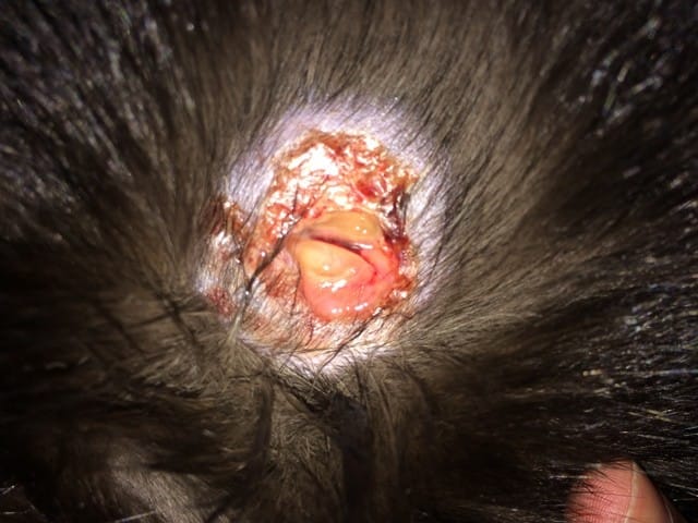 Problème de peau ou brulure ?