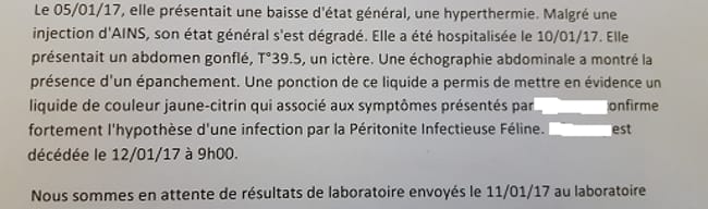 chatte dcd pif