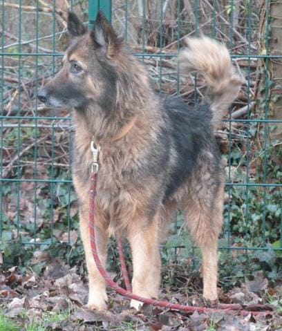 Une nouvelle vie commence pour Malie (et Polka est toujours là :)  )