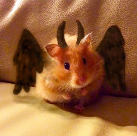 Création de photo de profil