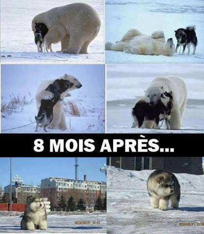 Juste pour rire