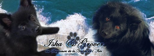 Grover et Iska au  couleur de l'été
