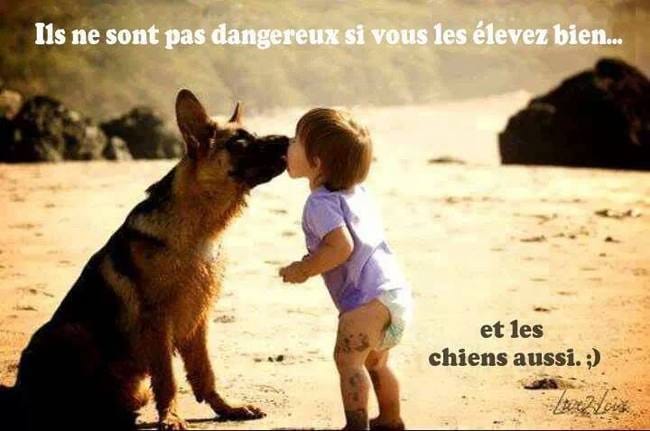 Les enfants, les chiens ...