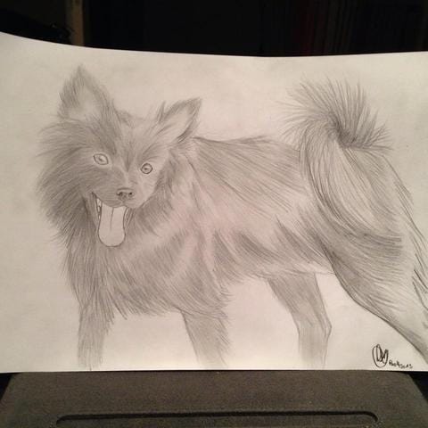 Dessin de ma Iska