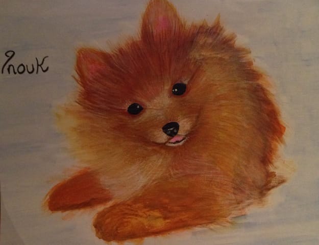 Inouk, spitz allemand