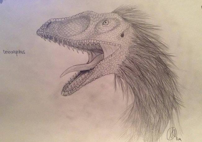 Les Dinosaures 
