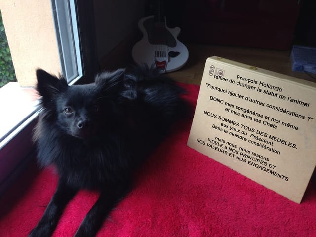 " Je suis une chaise" 