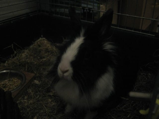 mon amour ♥ ♥ ♥ ♥