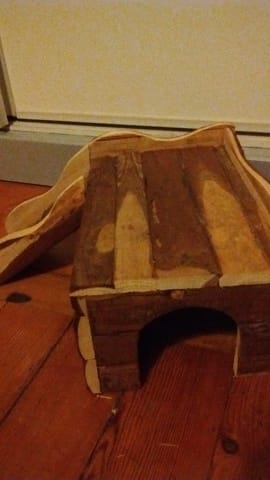 Nouvelle cabane