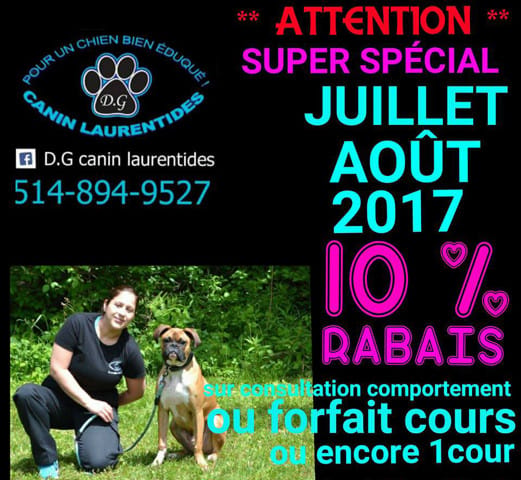 10 % rabais vacance se termine bientôt ! Cours /Consultation comportement canin ,Dressage