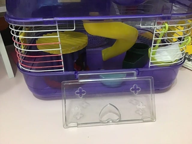 Bonne cage pour une souris ?