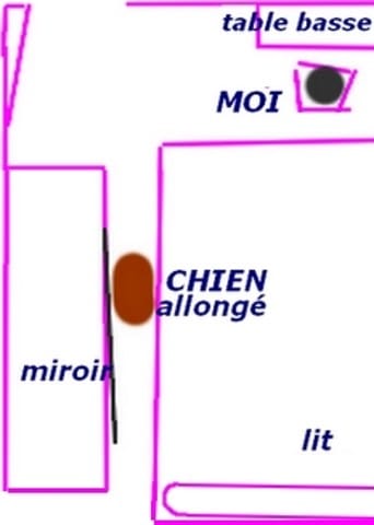 le chien me suit des yeux ... dans le miroir