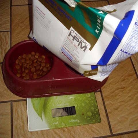 pour sa santé, pesez chaque jour gamelle + sac de croquettes