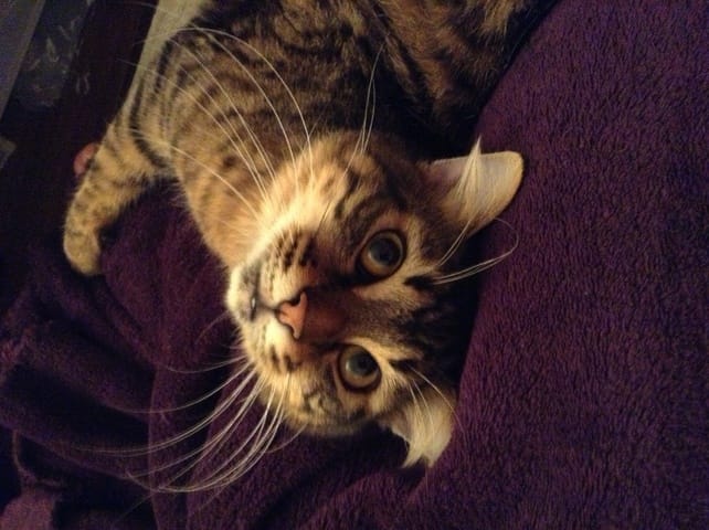 Quelqu'un peut m'aider 