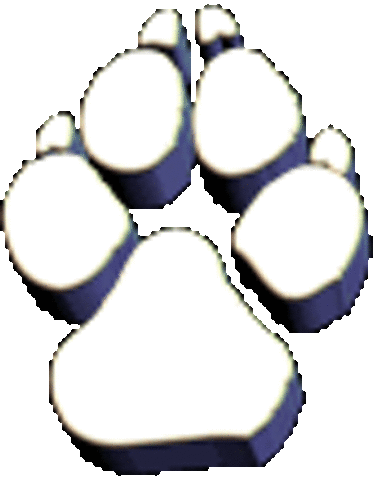 Concours photos pour chiens