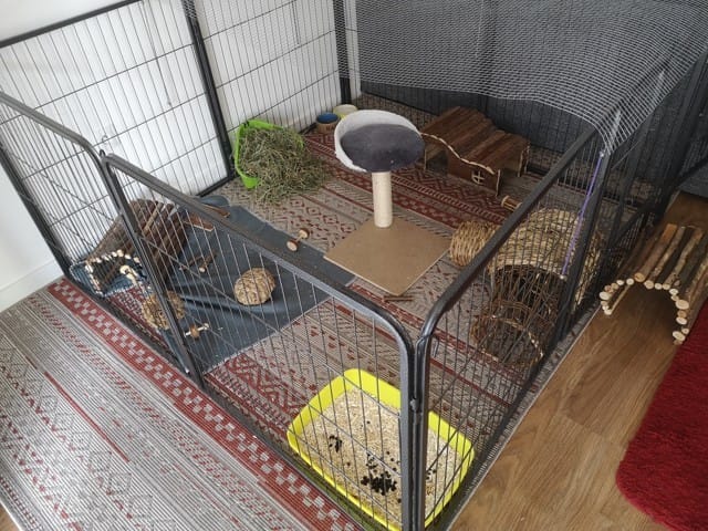 Plus de cages à lapins !