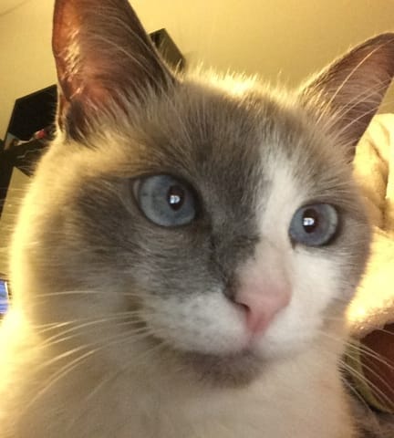 bonjour je m'appelle Milky