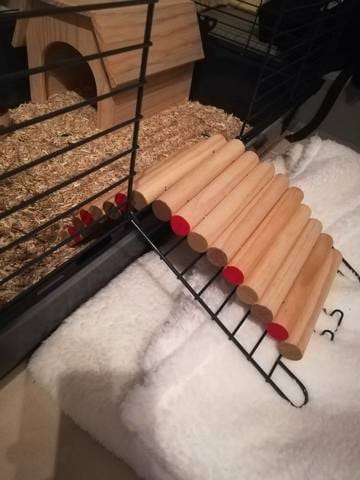 Sortie de la cage / Sommeil dans la litière du lapin