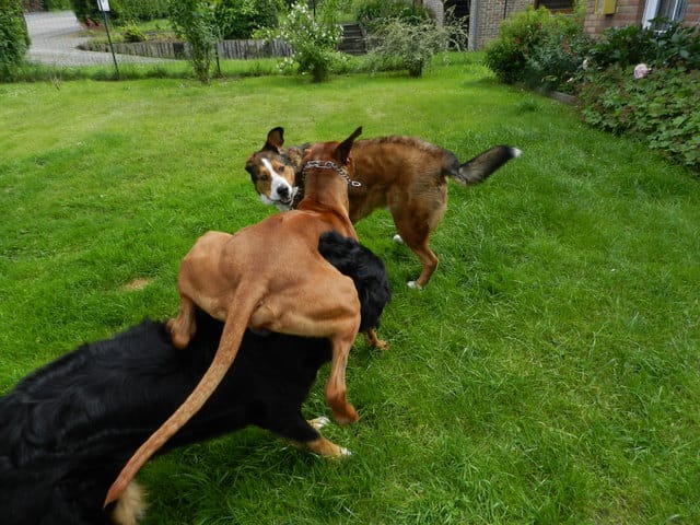 Photos positions insolites