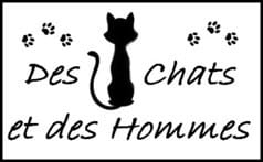 Post de suivi de la vie de l'Association ! 