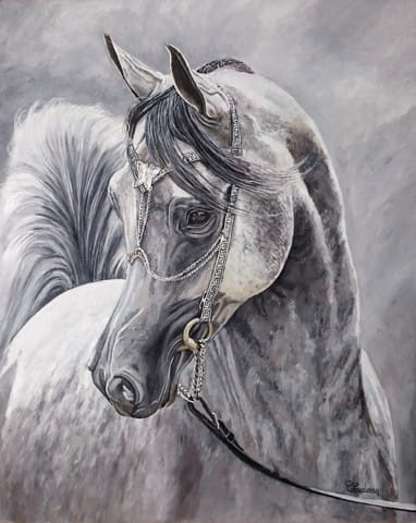 Portrait de votre compagnon à poile