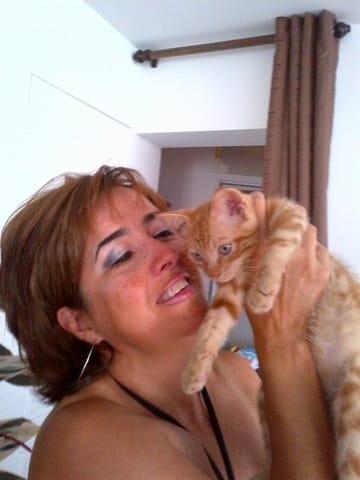 La définition du chat en poeme