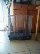 Cette cage convient-elle ? 