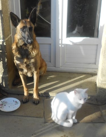 des nouvelles de Mougly 