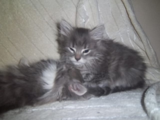 Des nouvelle d'Hermine!!!!