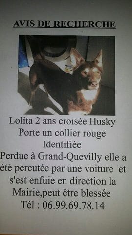 Avis de Recherche