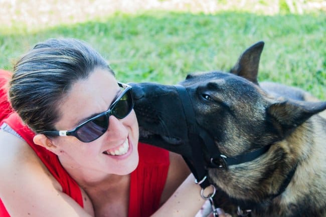 essai licol canny collar