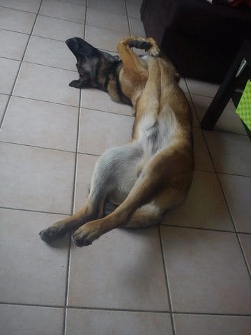 sieste rigolote !