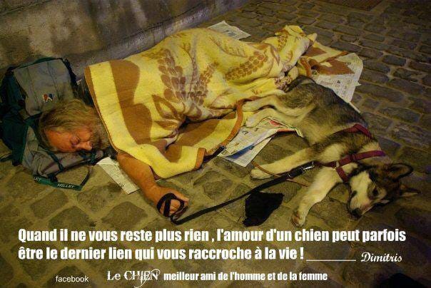 Les SDF et leurs chiens