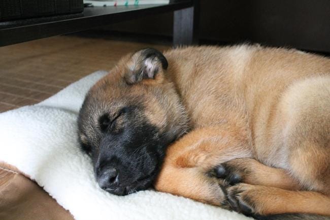 Les bébés grandissent trop vite !