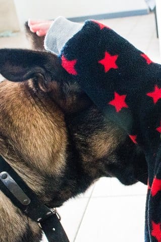 Eduquer son chien ET éduquer son enfant !