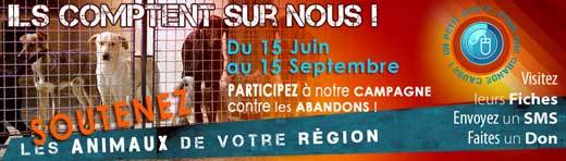 Soutenez la campagne " abandons " !!
