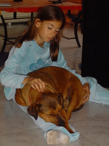 coucours : les animaux dans leur sommeil !